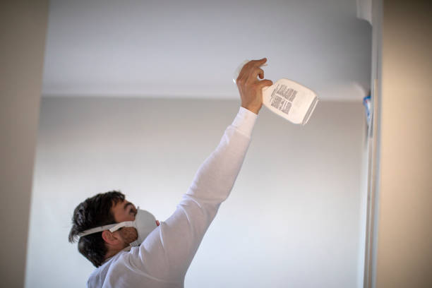 Best Local Mold Removal Service  in Moraga, CA