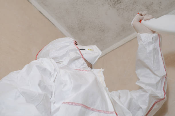 Best Professional Mold Removal  in Moraga, CA