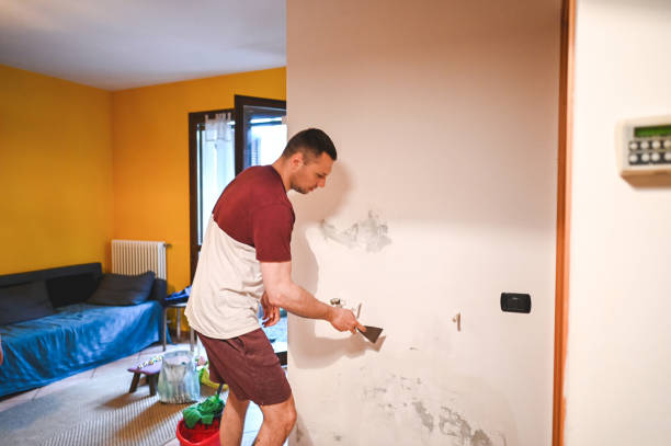 Reliable Moraga, CA Mold Removal Solutions