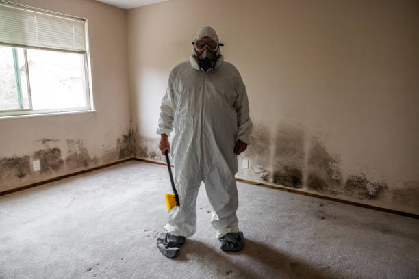 Best Mold Remediation Services  in Moraga, CA